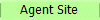 Agent Site